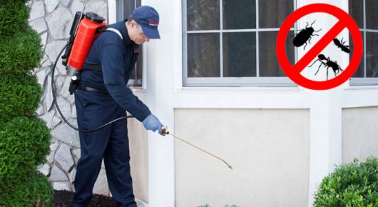 Kurşunlu Böcek İlaçlama böcek ilaçlama ve haşere kontrolü — ilaclama-tr.com